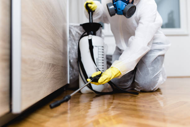 Best Pest Prevention Services  in Mendon, IL