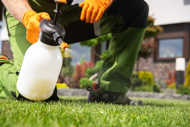 Professional Pest Control in Mendon, IL