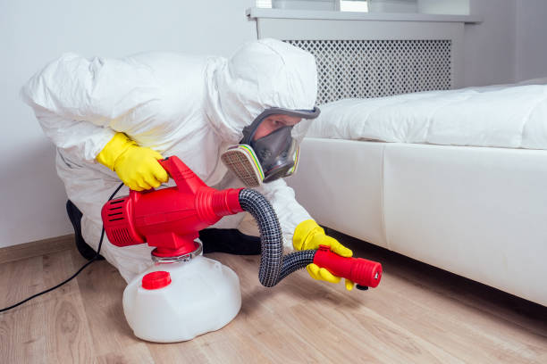 Best Termite Control Services  in Mendon, IL