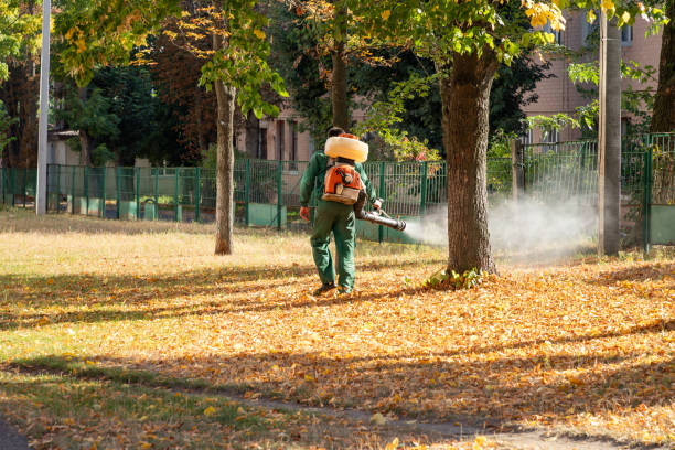 Best Pest Control Near Me  in Mendon, IL